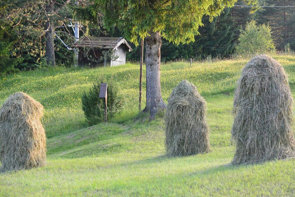 Gaestehaus Doering Mittenwald Buitenkant foto